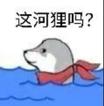 这布盒里表情包-应用教程