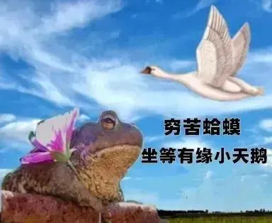 穷苦蛤蟆坐等有缘小天鹅表情包-应用教程