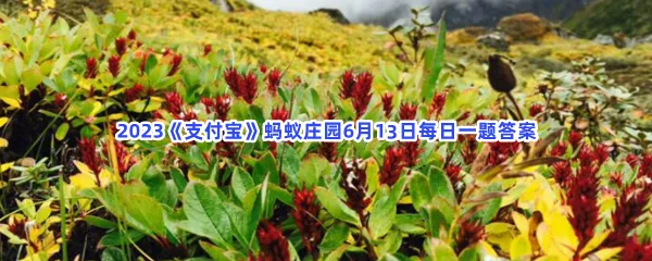 在自然界中,