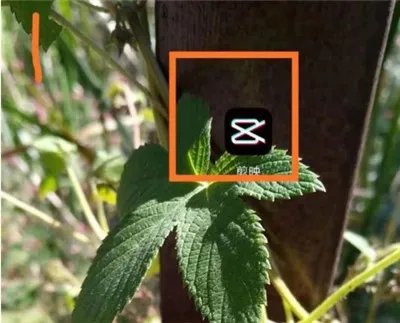 剪映怎么自动识别字幕 剪映自动识别字幕设置方法-剪映教程