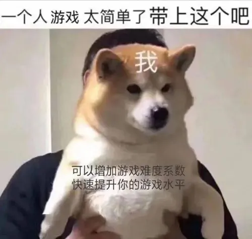 一个人游戏太简单了带上这个吧表情包-应用教程