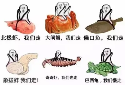 我的草原我的马我想咋耍就咋耍你懂个Der啊表情包-应用教程
