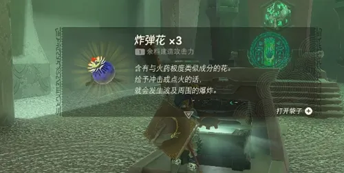 王国之泪欧亚米欧神庙怎么过-王国之泪欧亚米欧神庙攻略