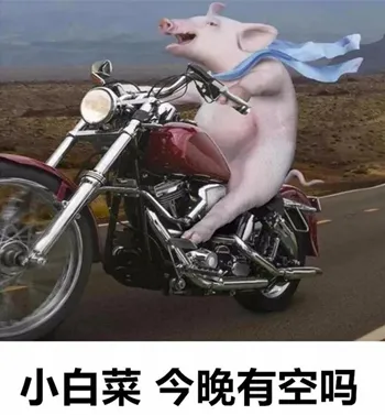 小白菜别得意老子迟早拱了你表情包-应用教程