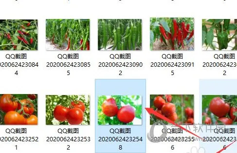 Word2016怎么调整图片色调 操作方法