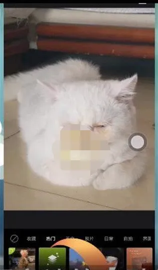醒图怎么使用色卡-醒图使用色卡的步骤介绍