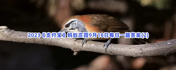 成语