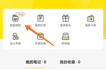觅食蜂怎么获取蜂蜜 相关获取方法介绍