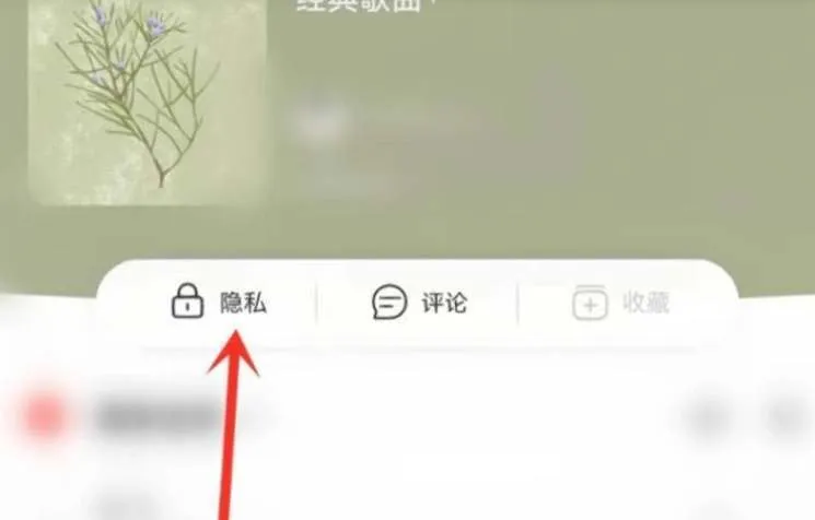 网易云怎么把单个歌单变成私密-网易云音乐教程