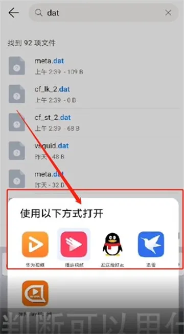 dat文件用什么打开-应用教程