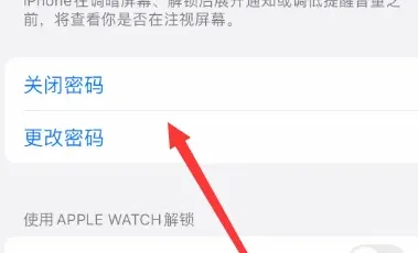 苹果15设置密码方法-应用教程