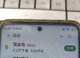 灵动鸟在哪下载-应用教程