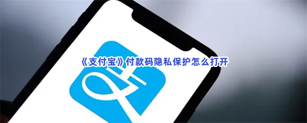 支付宝付款码隐私保护怎么打开-支付宝付款码隐私保护打开的方法分享