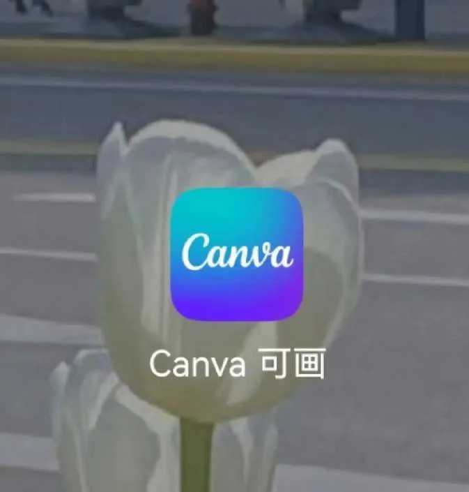 canva可画怎么调整图像尺寸-Canva可画教程