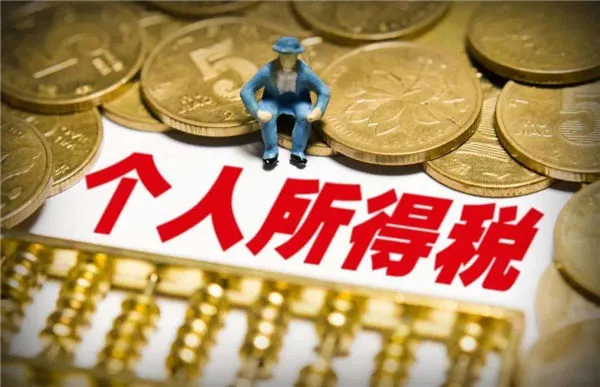 个人所得税怎么查-应用教程