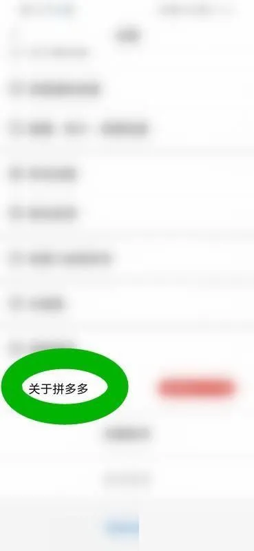 拼多多版本号在哪里查看-拼多多版本号查看教程-拼多多教程
