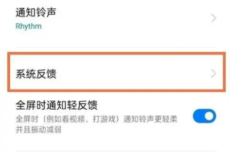 真我10pro手机触摸有震动在哪里设置-应用教程