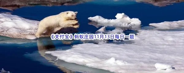 小鸡宝宝考考你以下哪种动物会冬眠-2022支付宝蚂蚁庄园11月13日每日一题答案