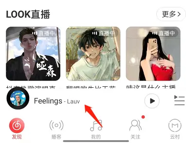 网易云音乐如何关掉歌词翻译-网易云音乐教程