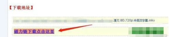 电影天堂应版权方要求无法下载怎么办-电影天堂解决无法下载的方法分享