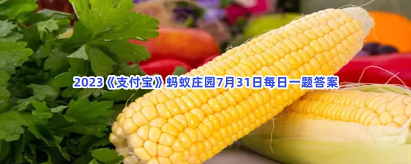小巧脆嫩的玉米笋是玉米的小时候吗?-2023支付宝蚂蚁庄园7月31日每日一题答案