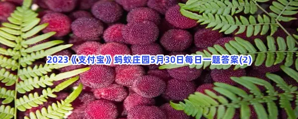 担心杨梅生虫不敢吃,以下哪种清洗方法更有效-2023支付宝蚂蚁庄园5月30日每日一题答案(2)
