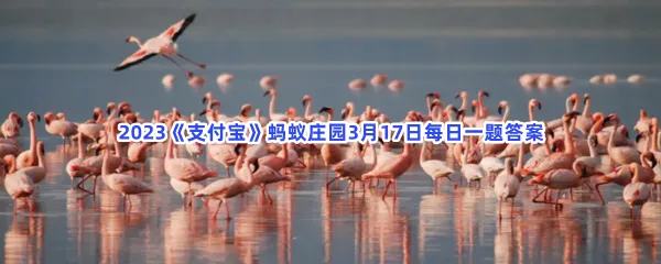 刚出生的火烈鸟羽毛是什么颜色呢-2023支付宝蚂蚁庄园3月17日每日一题答案