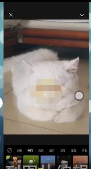 醒图怎么进行瘦脸瘦身-醒图进行瘦脸瘦身的流程一览