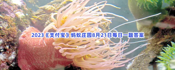 猜一猜:以下哪种海洋动物的寿命更长?-2023支付宝蚂蚁庄园8月21日每日一题答案