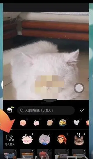 醒图怎么导入贴纸-醒图导入贴纸的步骤介绍