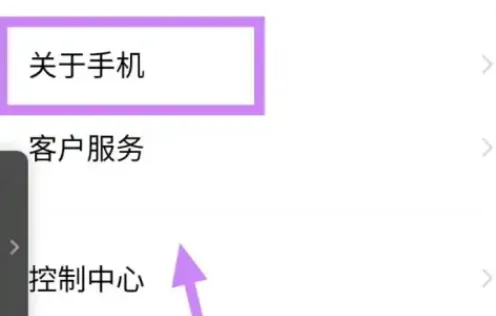 iqooz8设置里参数查看方法-应用教程