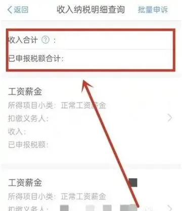 个人所得税怎么查-应用教程