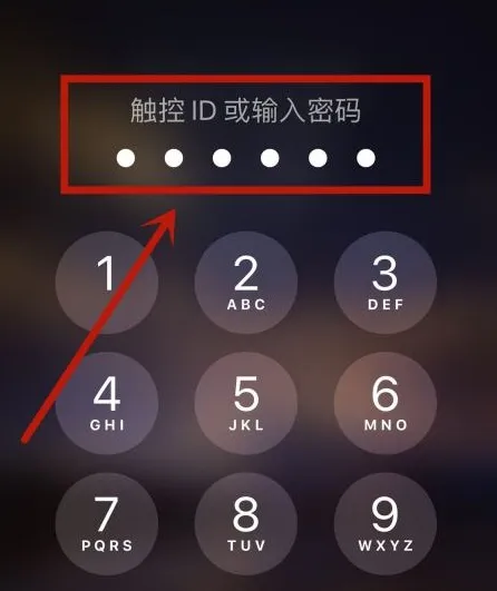 iphone已停用没有电脑解决方法-应用教程