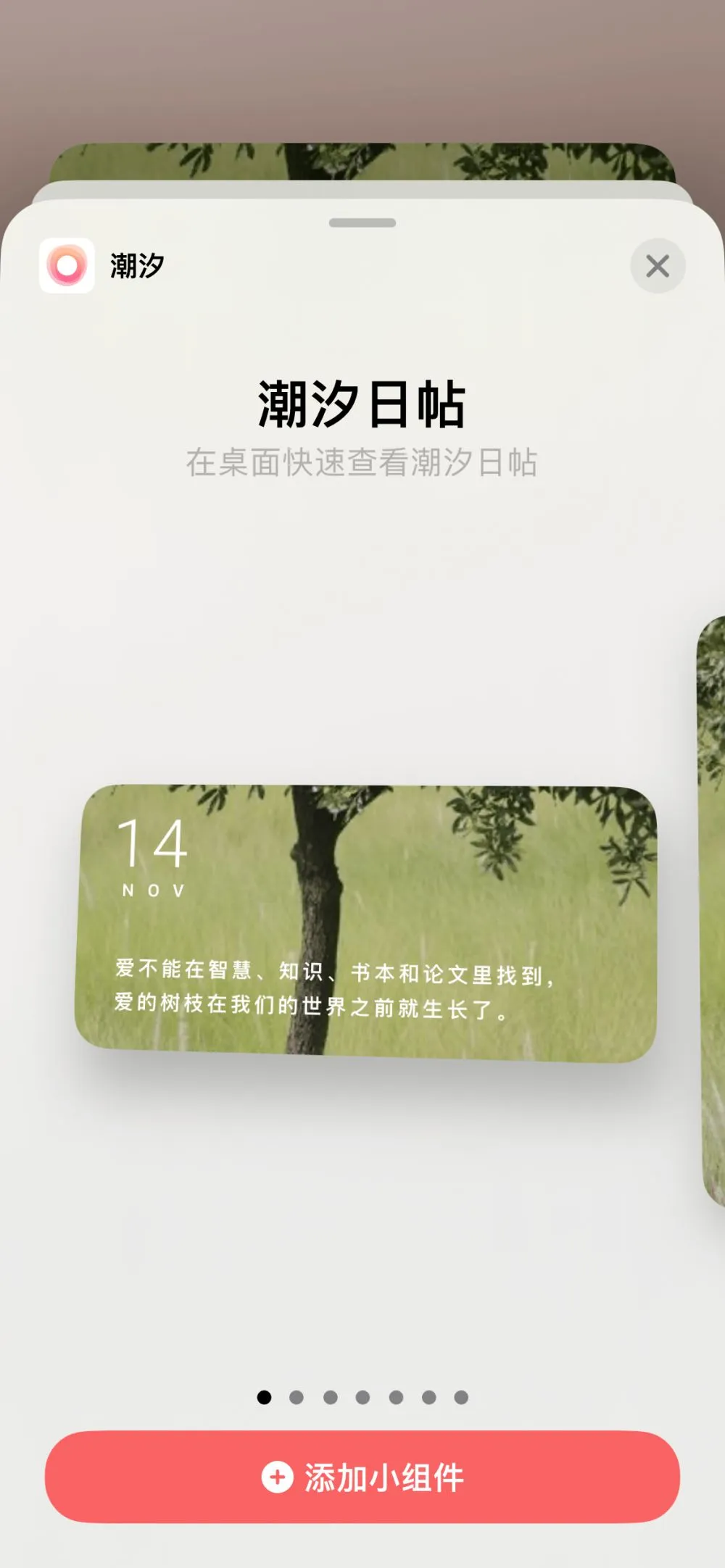 潮汐app如何添加桌面小组件-潮汐app添加桌面小组件教程-应用教程