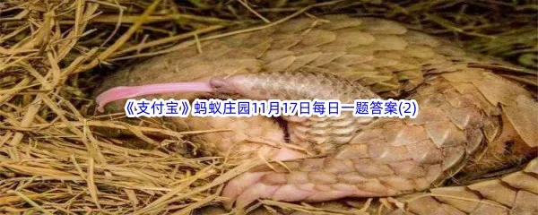 猜一猜穿山甲主要用什么来捕食-2022支付宝蚂蚁庄园11月17日每日一题答案(2)
