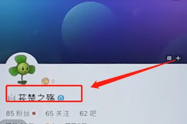 百度贴吧怎么改名字-应用教程