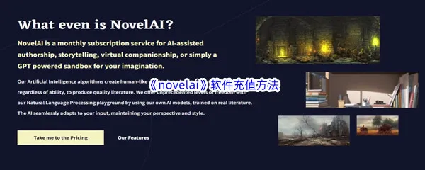 novelai软件该怎么充值呢-novelai安全充值方法介绍