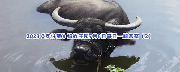 猜一猜:哪种动物汗腺不发达,天热时需要浸水散热?-2023支付宝蚂蚁庄园7月8日每日一题答案(2)