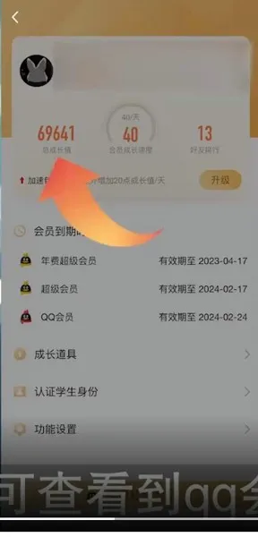 怎么看qq会员还有多少天到期-QQ教程
