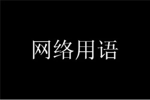 XXN是什么意思 XXN含义介绍-应用教程