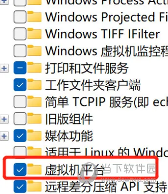 Win11运行VMware蓝屏怎么解决 四种方法搞定
