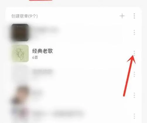 网易云怎么把单个歌单变成私密-网易云音乐教程
