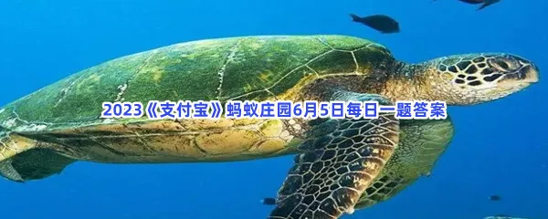 你知道吗?绿海龟之所以得名,主要是因为-2023支付宝蚂蚁庄园6月5日每日一题答案