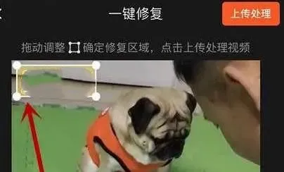 快影怎么去掉logo水印-应用教程