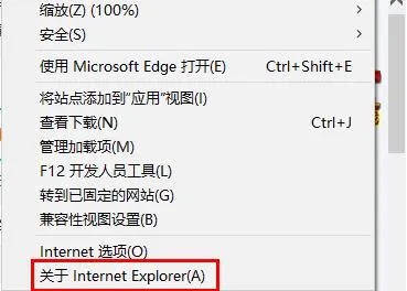 ie浏览器怎么升级详细教程-应用教程