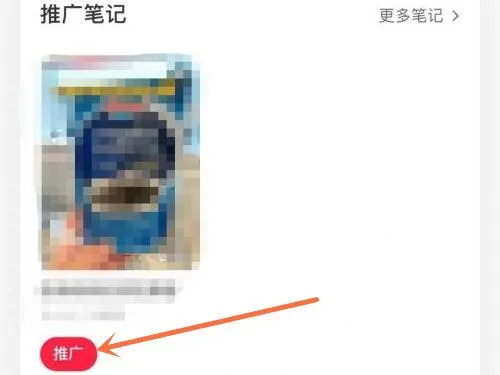 小红书笔记推广在哪里-小红书笔记推广教程-小红书教程