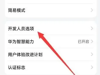 海信a7怎么打开开发者模式-应用教程