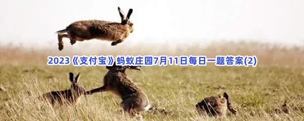成语
