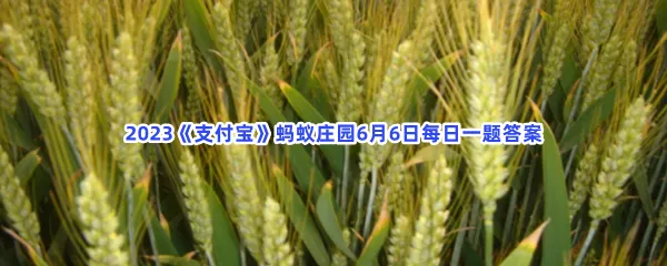 芒种小知识:猜猜以下哪种植物属于