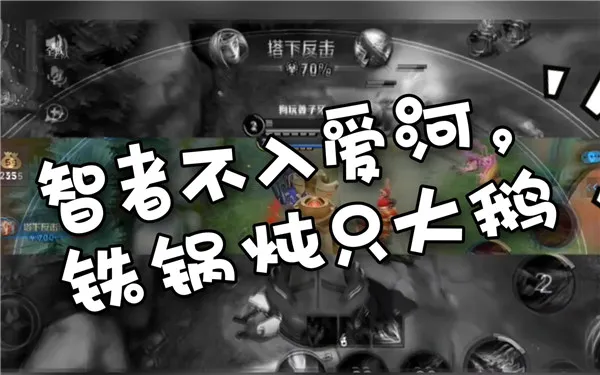 智者不入爱河铁锅只炖大鹅什么意思 智者不入爱河铁锅只炖大鹅下一句-应用教程